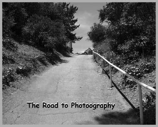 The Road 010 B-W low.JPG (54262 bytes)