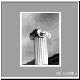 Architecture Colum-1-Graphic fnl brdr low.jpg