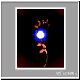 Botanical-Flwr-1neg clrfnl low.jpg