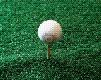 Golf Ball 101a-19 Gif.GIF (173123 bytes)